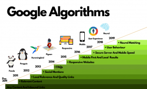 Google algorithms 3 الگوریتم های گوگل چند دسته است